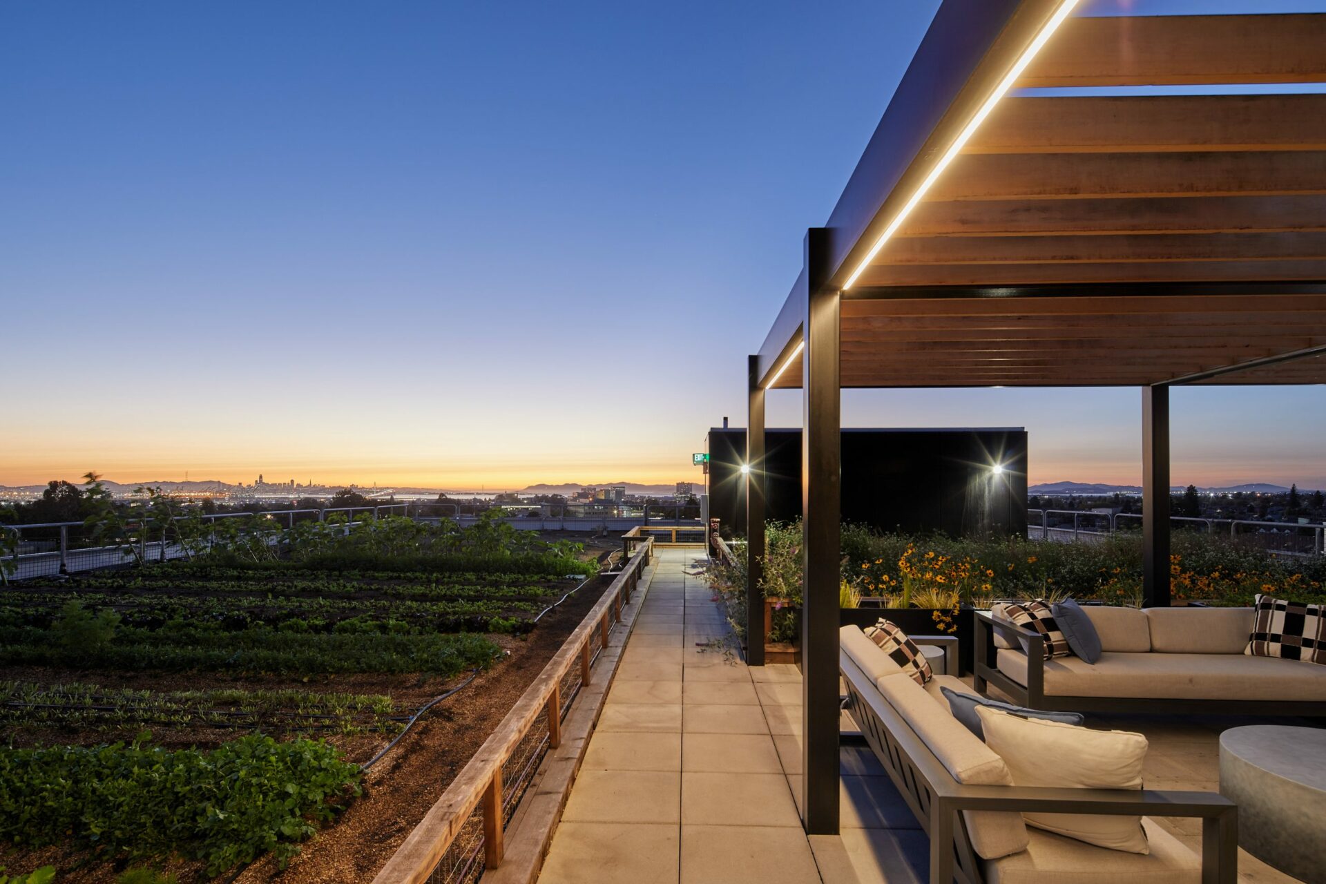 the logan rooftop deck with farm and couches
